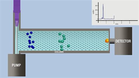 chromatography animation